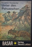 Unter den Pehuenchen - Friedrich Gerstacker