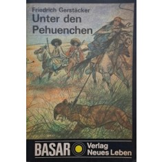 Unter den Pehuenchen - Friedrich Gerstacker
