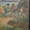 Unter den Pehuenchen - Friedrich Gerstacker
