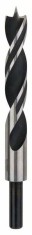 Bosch Burghiu elicoidal standard pentru lemn, 16x100x160mm, d10mm ProAdvanced PowerfulTools