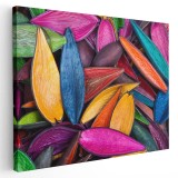 Tablou coji fructe legume pictate manual multicolor 1374 Tablou canvas pe panza CU RAMA 60x80 cm