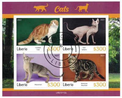 LIBERIA 2021 - Fauna, Pisici / colita noua foto