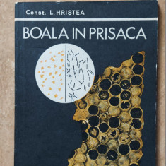 Boala In Prisaca - Constantin Hristea , Stare Foarte Buna !