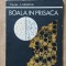 Boala In Prisaca - Constantin Hristea , Stare Foarte Buna !
