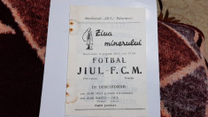 program Jiul Petrosani - FCM Resita foto