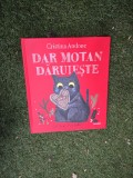 Dar motan dăruiește - Cristina Andone