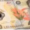 Bancnota 20 Ron - Ecaterina Teodoroiu: 850 bucati