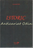 Istoric - Lucian Zup