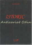 Istoric - Lucian Zup, Editura Pim, Iasi, 2011, Roman, 122 pagini, ISBN 978-606-130-660-2