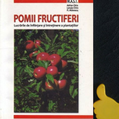 Pomii fructiferi Lucrari de infiintare si de intretinere a plantatiilor Chira