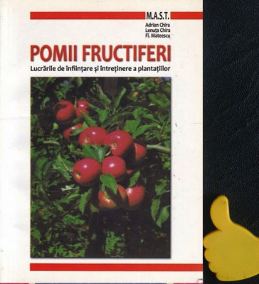 Pomii fructiferi Lucrari de infiintare si de intretinere a plantatiilor Chira foto