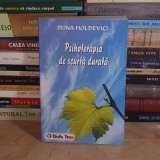 IRINA HOLDEVICI - PSIHOTERAPIA DE SCURTA DURATA , 2004 *