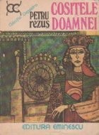 Cositele doamnei foto