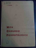 Mica Chirurgie Fiziopatologica - I. Turai ,547791