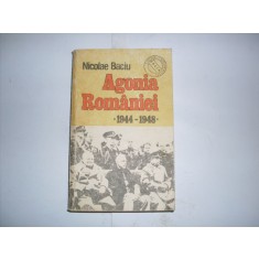 Agonia Romaniei 1944-1948 - Nicolae Baciu , 20844