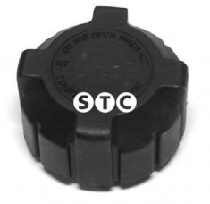 Buson vas expansiune antigel FIAT MAREA Weekend (185) (1996 - 2007) STC T403848 foto