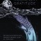 Moonlight Gratitude: 365 Relaxing Meditations for Tranquility Before Sleep