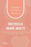 Matricea inimă‑minte - Paperback brosat - For You