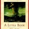 A Little Book on the Human Shadow
