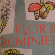 Flora Romaniei I.Simionescu 1960
