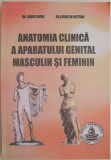 Anatomia clinica a aparatului genital masculin si feminin &ndash; Naum Ciomu, Cornelia Bistran