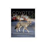 Living with Coyotes: Understanding the Ghost Dogs of Urban America