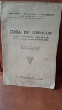 Cura de struguri, despre utilitatea ei la omul in stare normala ca si in diverse stari ptologice - Gh. Litarczek