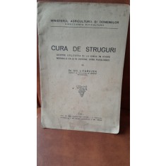 Cura de struguri, despre utilitatea ei la omul in stare normala ca si in diverse stari ptologice - Gh. Litarczek