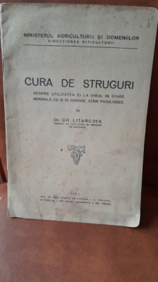 Cura de struguri, despre utilitatea ei la omul in stare normala ca si in diverse stari ptologice - Gh. Litarczek foto