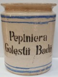 Vas Ceramic 'Pepiniera Golestii Badii'