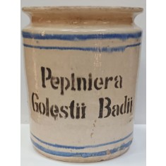 Vas Ceramic 'Pepiniera Golestii Badii'