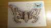 C12 - maxima Romania - tematica fluturi 2 - prima zi a emisiunii sau expozitii, Romania de la 1950, Fauna