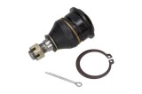 Pivot NISSAN ALMERA II (N16) (2000 - Prezent) MAXGEAR 72-0420