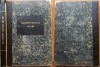 Documente oficiale din corespondenta diplomatica de la 1878 - 1880, 1880