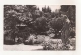 RF99 - Carte Postala - Cluj. Gradina Botanica, circulata 1964