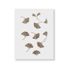 Sablon Perete vopsire, tencuiala 900x600x0.7mm Ginkgo Refolosibil, model MXSP7072, Oem