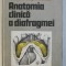 ANATOMIA CLINICA A DIAFRAGMEI de FRANCISC GRIGORESCU SIDO , 1990