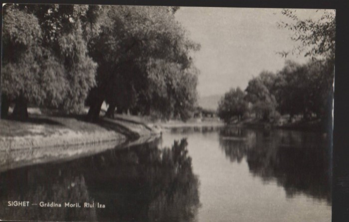 CPI B13607 CARTE POSTALA - SIGHET - GRADINA MORII. RAUL IZA, RPR