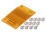 Radiator extrudat cu aripioare BGA aurie 37mm x 58mm