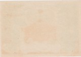 Eticheta de sticla Cr&egrave;me de Vanille &ndash; lichior de vanilie, decor tropical