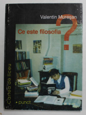 CE ESTE FILOSOFIA ? - O INTRODUCERE ELEMENTARA de VALENTIN MURESAN , 2000 foto