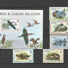 TURKS AND CAICOS 1980 FAUNA PASARI