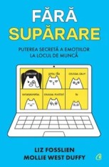 Fara suparare. Puterea secreta a emotiilor la locul de munca/Liz Fosslien, Mollie West Duffy
