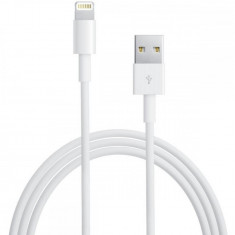 Cablu date Apple Lightning-USB 2.0 (2 m)