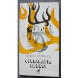 Virgil Teodorescu - Culminația umbrei