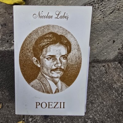 Poezii - Nicolae Labis foto