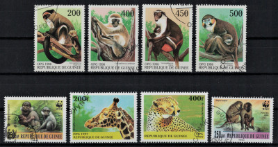 GUINEEA 1997 / 1998 - Animale salbatice foto