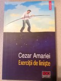 Cezar Amariei - Exercitii de echilibru
