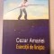 Cezar Amariei - Exercitii de echilibru