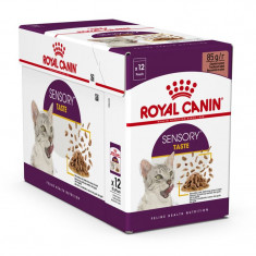 Royal Canin FHN Sensory Taste Gravy 12 x 85 g